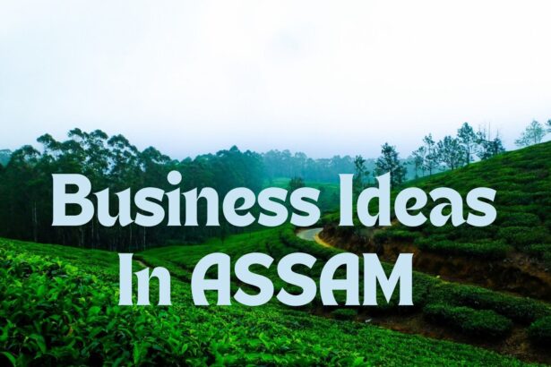 Business Ideas in Assam