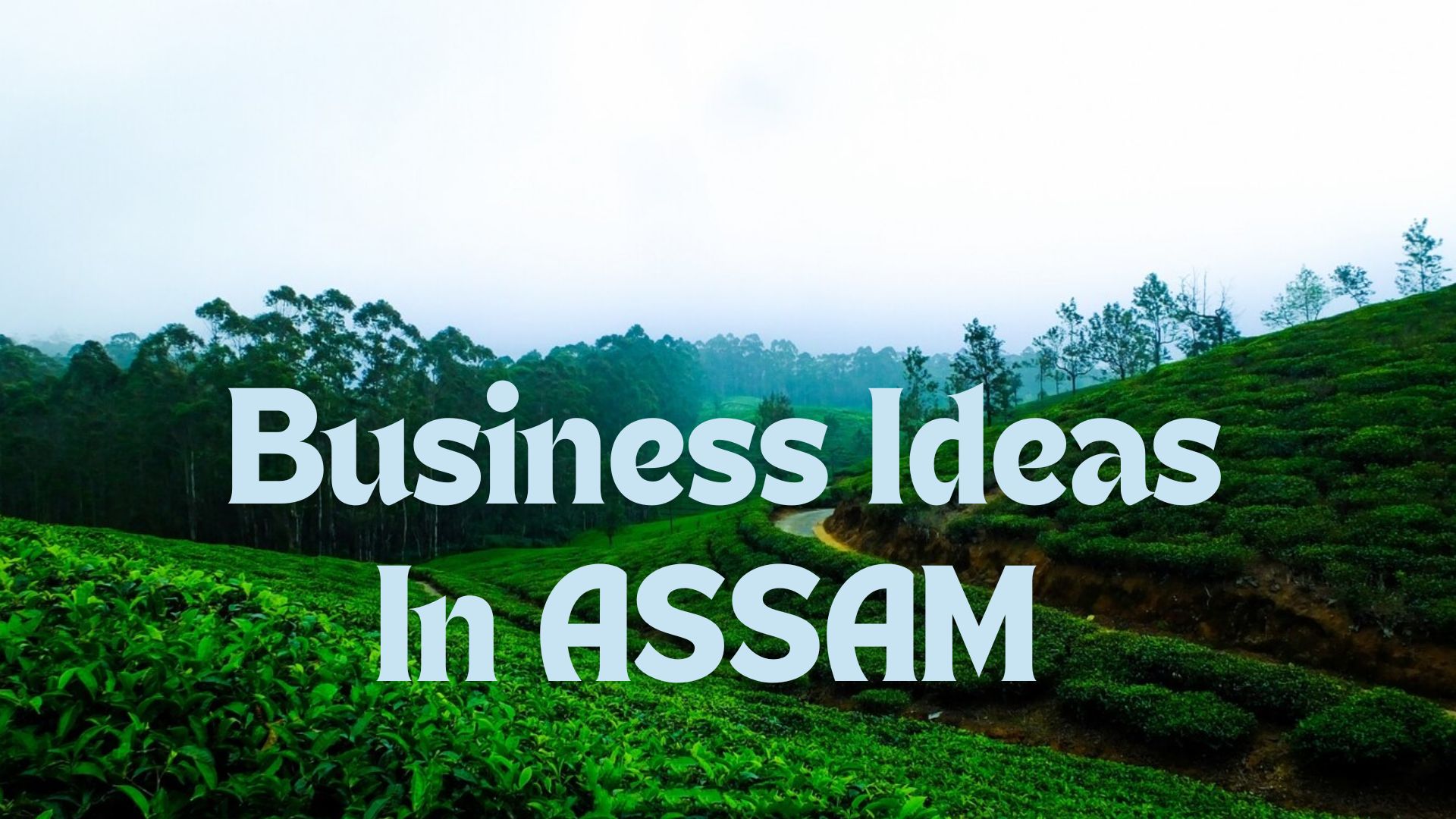 Business Ideas in Assam