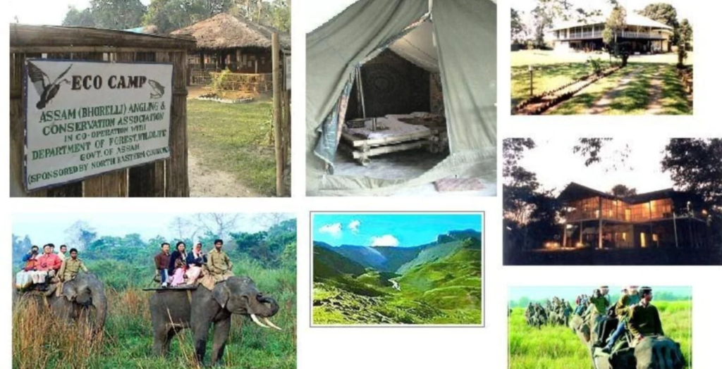 Business Idea in Assam - Eco-Tourism Business