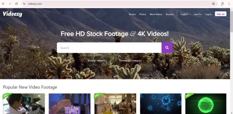 Top Free Stock Videos Websites
- Videezy