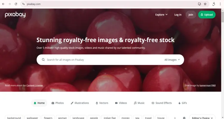 Top Free Stock Videos Websites
- Pixabay