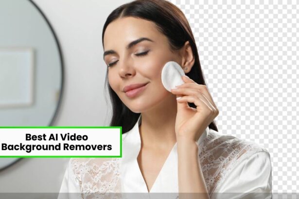 Best AI video Background Removers