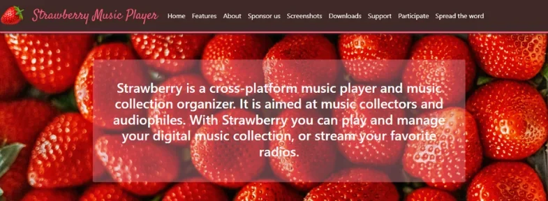 Best DeaDBeeF Music Player Alternatives-Strawberry