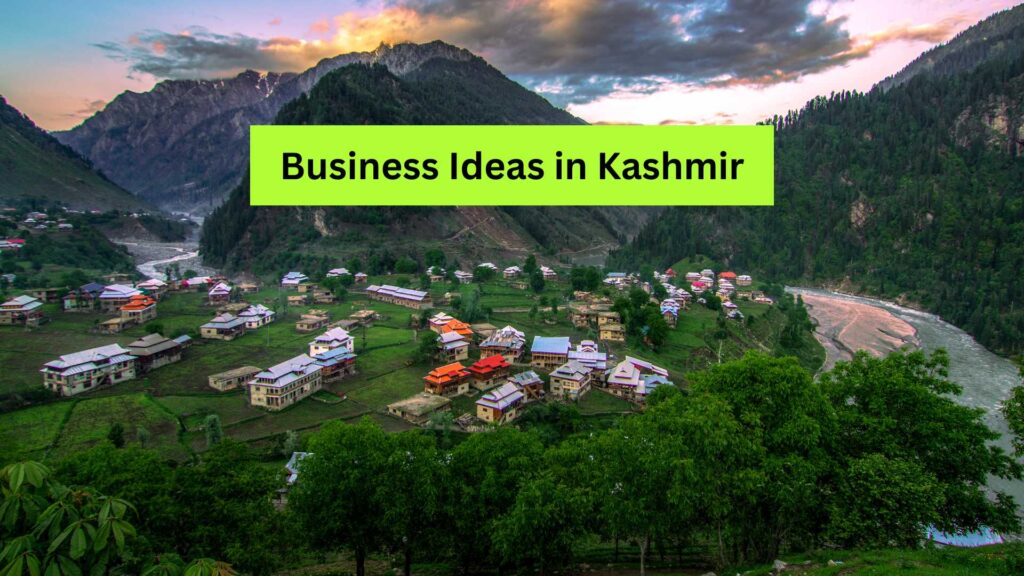 Business Ideas in Kashmir