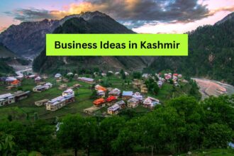 Business Ideas in Kashmir