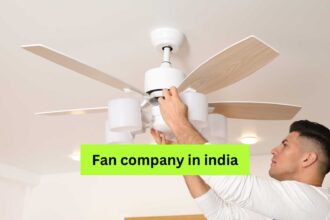 Fan company in india