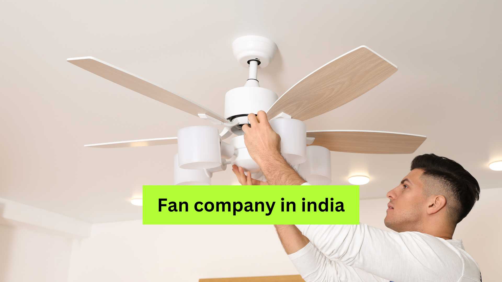 Fan company in india