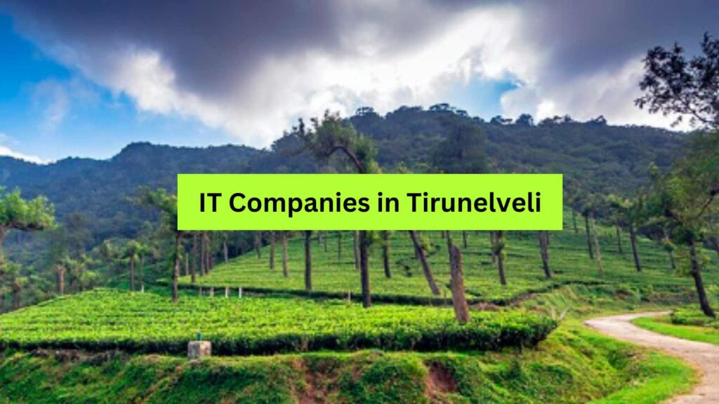 IT Companies in Tirunelveli