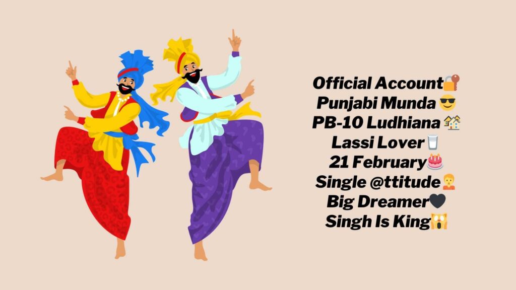 Instagram bio in Punjabi