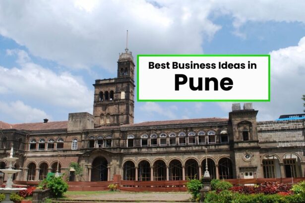 Best Business Ideas in Pune