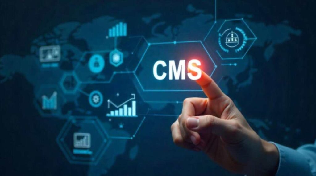 Best CMS Platforms