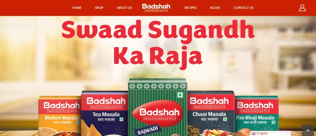 Spices Manufacturer in India - Badshah Masala