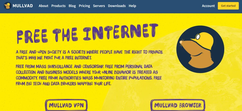 Best VPN service - Mullvad VPN