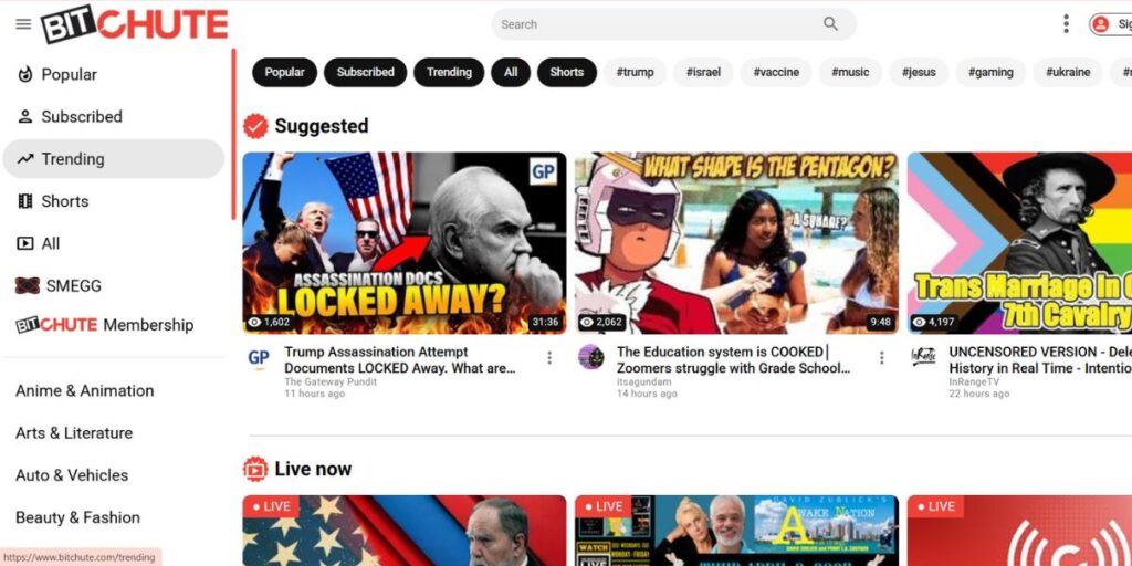 YouTube Alternatives- BitChute 