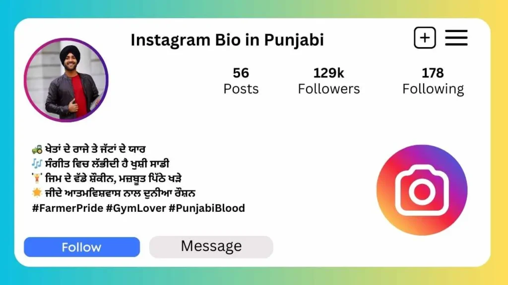 Instagram bio in Punjabi