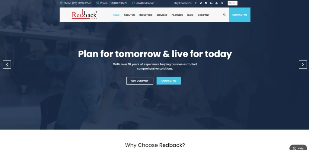 Redback IT Solutions- IT Companies in Vellore