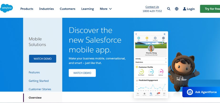 Business Application Development Tool - Salesforce App Cloud