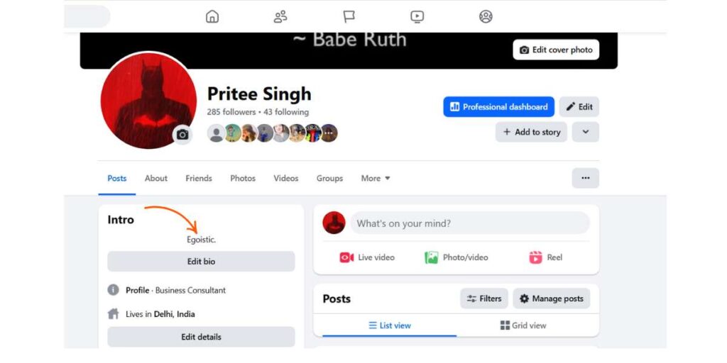 Facebook VIP Bio