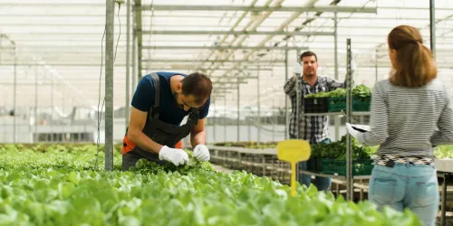 Organic Farming & Agri-Business