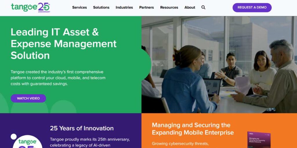 Telecom Expense Management Companies