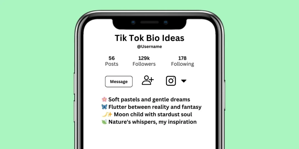 TikTok Bio Ideas