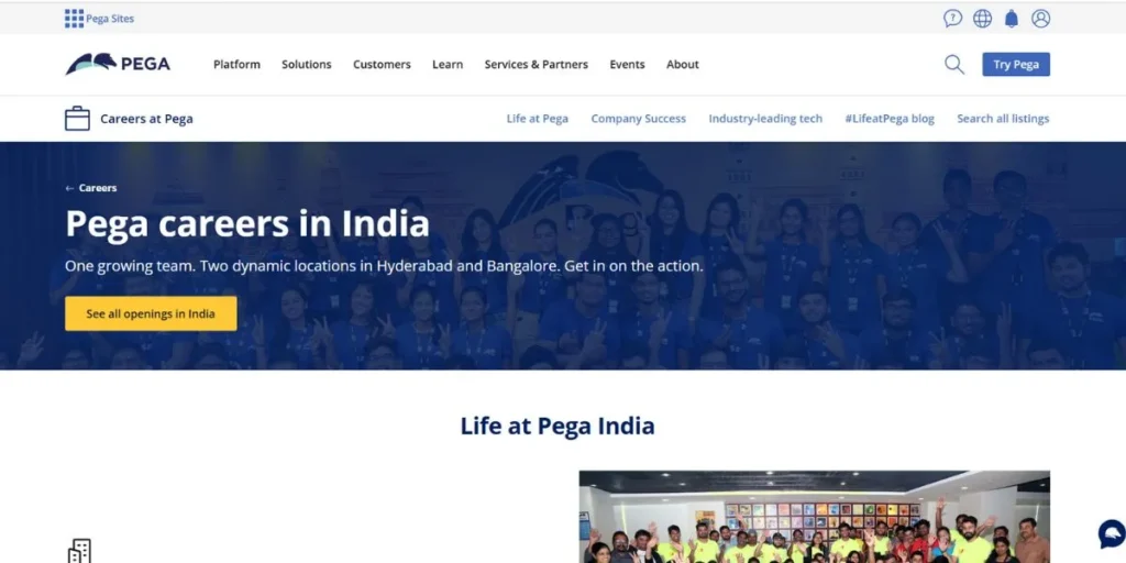 Software Companies in Hyderabad