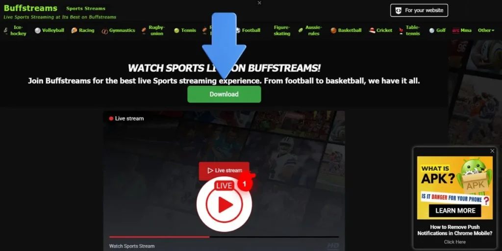 StreamEast Alternatives