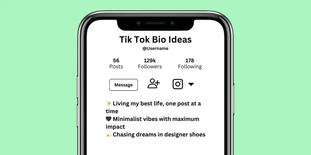 TikTok Bio Ideas