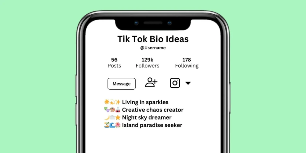 TikTok Bio Ideas