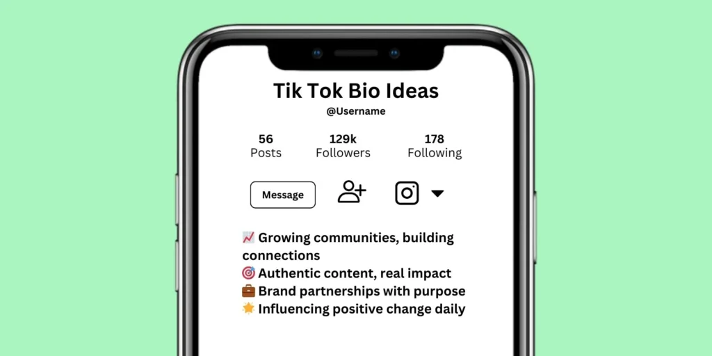 TikTok Bio Ideas