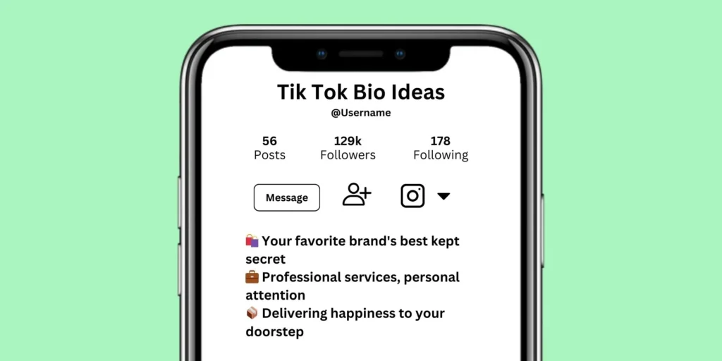 TikTok Bio Ideas
