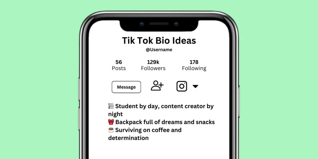 TikTok Bio Ideas