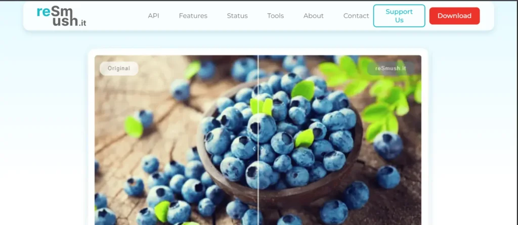 reSmush.it - WordPress Image Optimization Plugins