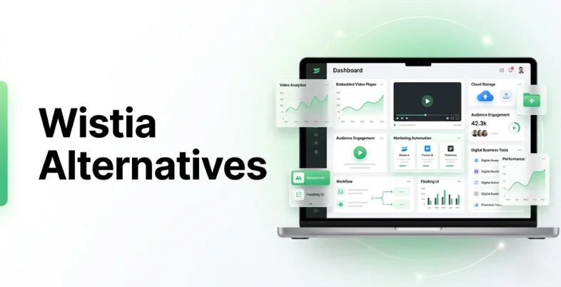 Wistia Alternatives