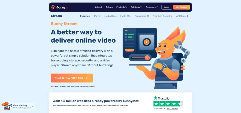 a-bunny-stream-product-page-screenshot-clarifies-that-this-i-1781008436828
