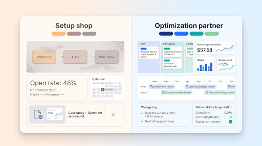 Setup shop vs. optimization partner