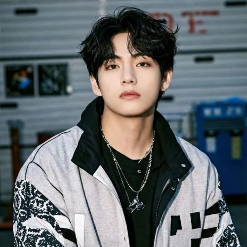 BTS Member Kim Taehyung Net Worth